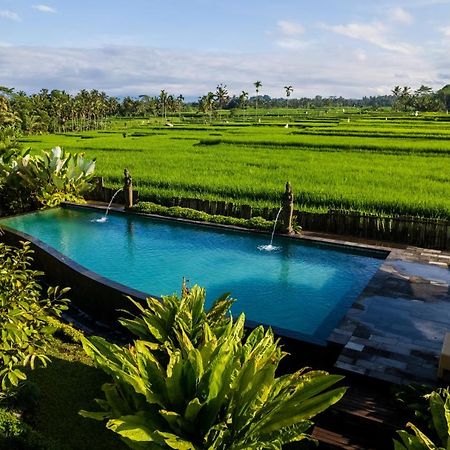 Padi Bali Eco Villas Payangan Exterior photo
